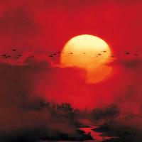 Apocalypse Now