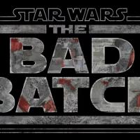 sw bad batch.JPG