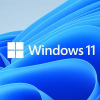 windows 11.jpg