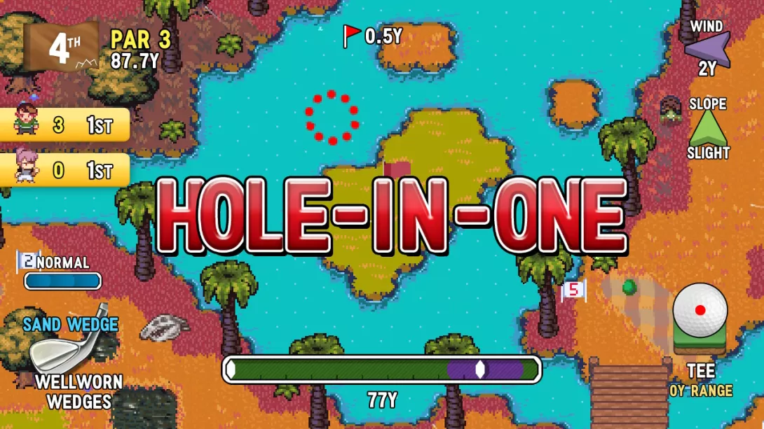 Golf Story Hole-in-one