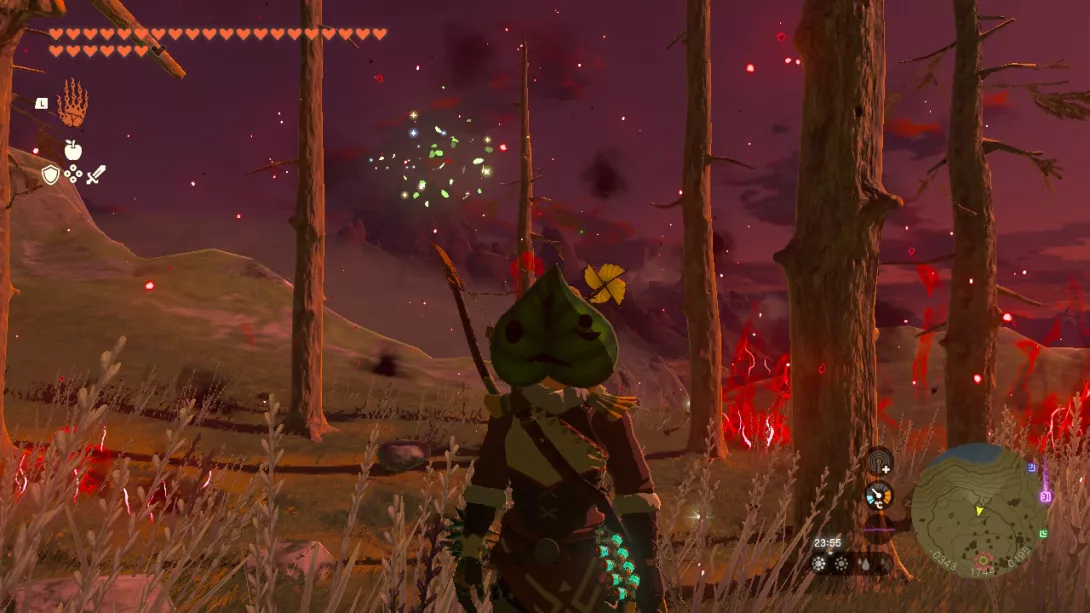 The Legend of Zelda Tears of the Kingdom This is fine