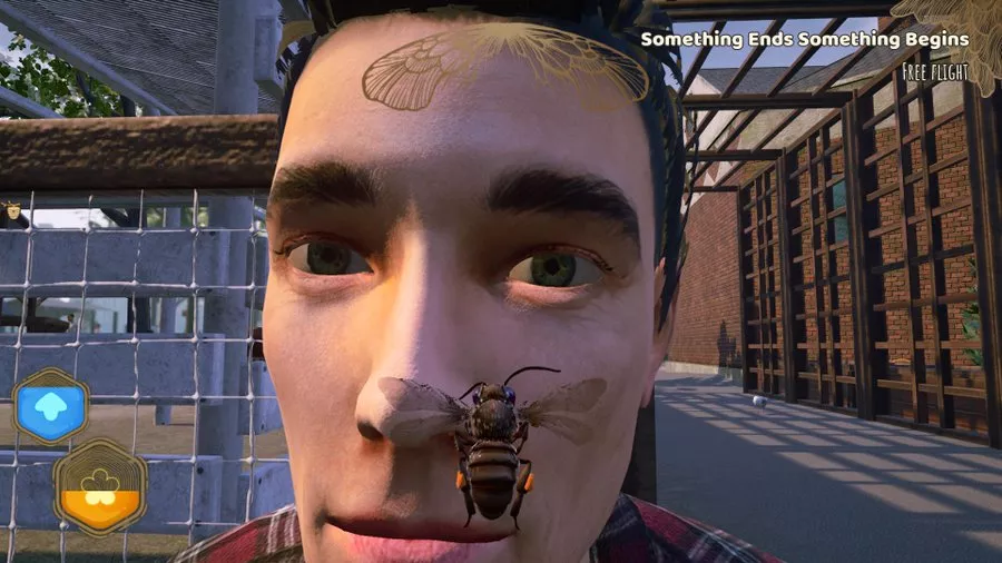 Bee Simulator lähikuva ihmisen edessä.jpg