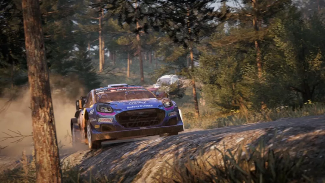 EA Sports WRC puu.jpg