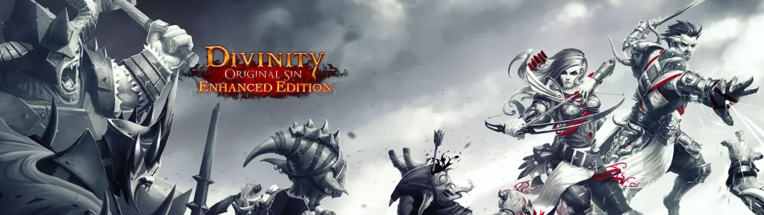 Divinity: Original Sin Enhanced Edition