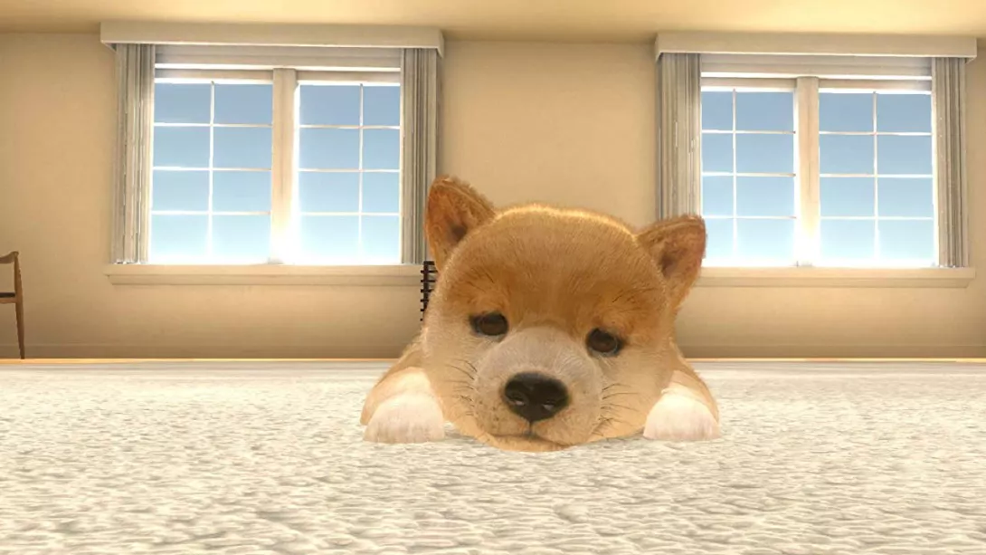 Little Friends Dogs and Cats.jpg