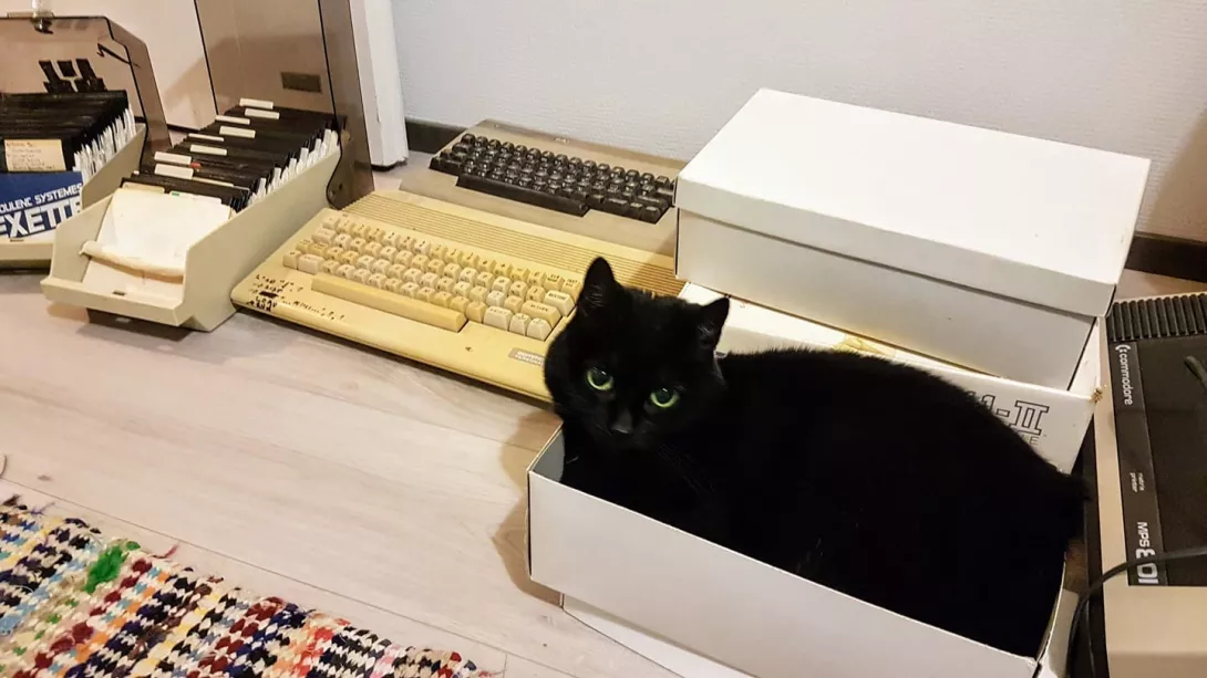 Servo