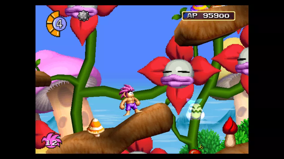 Tombi! Special Edition_Kukka