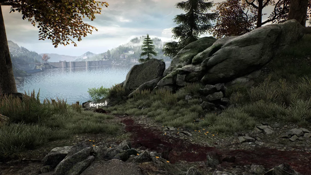 Vanishing of Ethan Carter 3.jpg