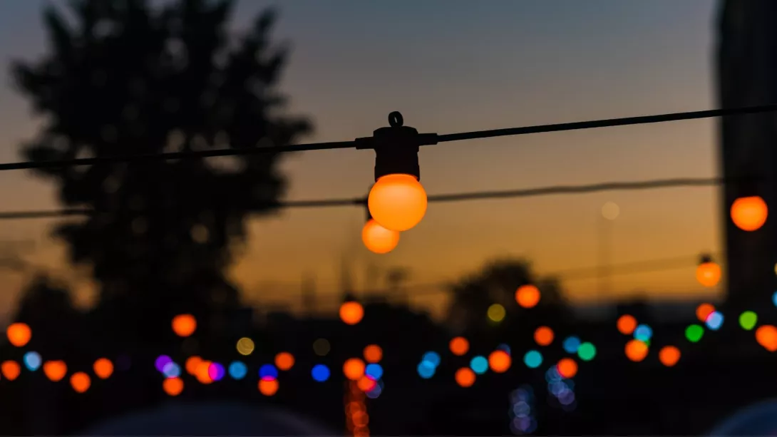 festoon-cover-new-1.jpeg