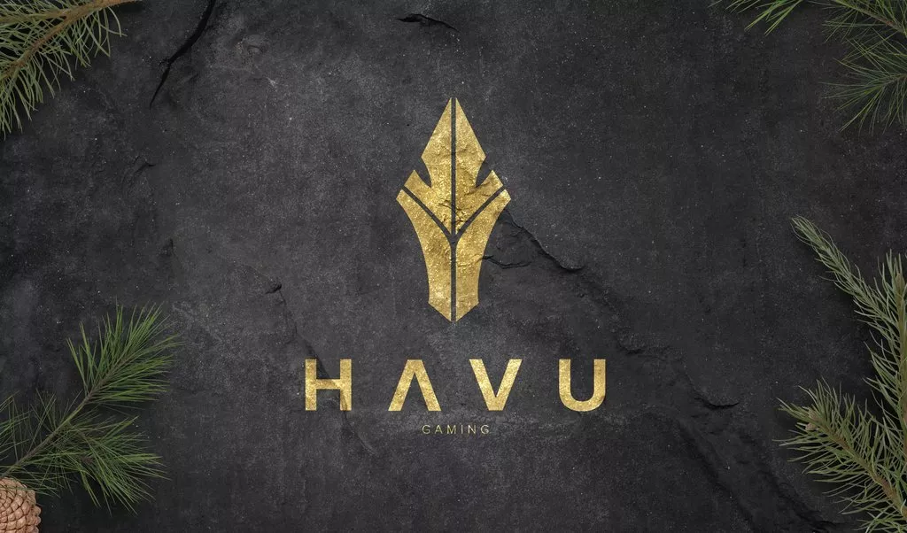 havu gaming.jpeg