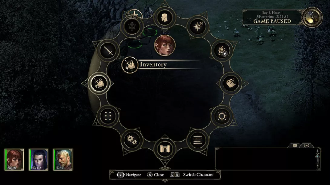 pillars of eternity 2.jpg