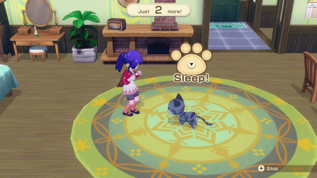story of seasons grand bazaar 1